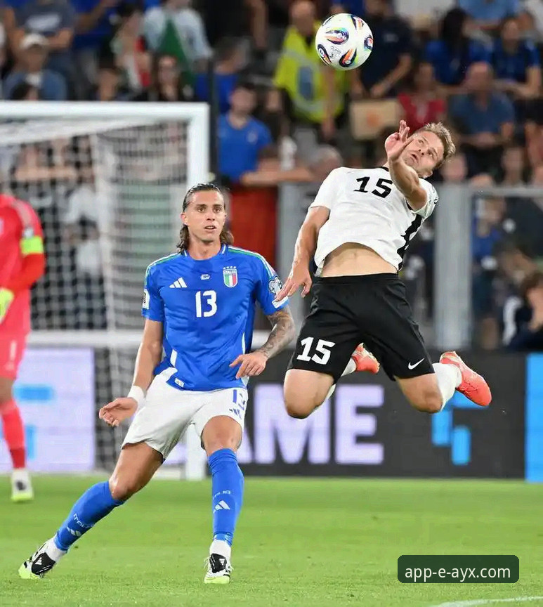 意大利世界杯出局深度评测：从绿茵场到数字平台的沉浸式体验